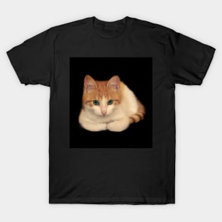 Portrait of domestic red kitten T-Shirt
